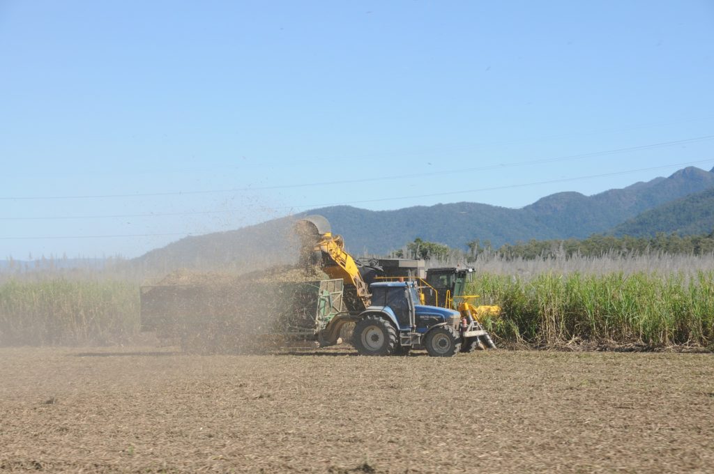 latest news Brazil
